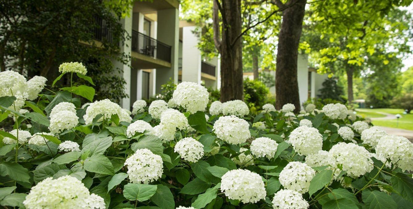 Griffin Hotel, An Official Colonial Williamsburg Hotel Bagian luar foto